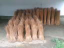 American willow for sale (peeled)