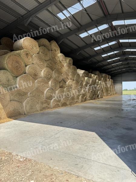 BIO alfalfa round bales for sale in large quantities, 2000 bales, protein: 27,2 g/100 g