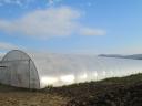 Neues Tunnelfolienzelt 8 x 30 m