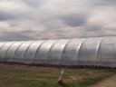 Neues Tunnelfolienzelt 8 x 30 m