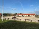 Rider on horseback, animal carer job