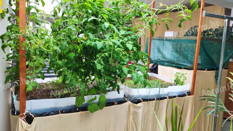 Aquaponic micro vegetable production system for sale