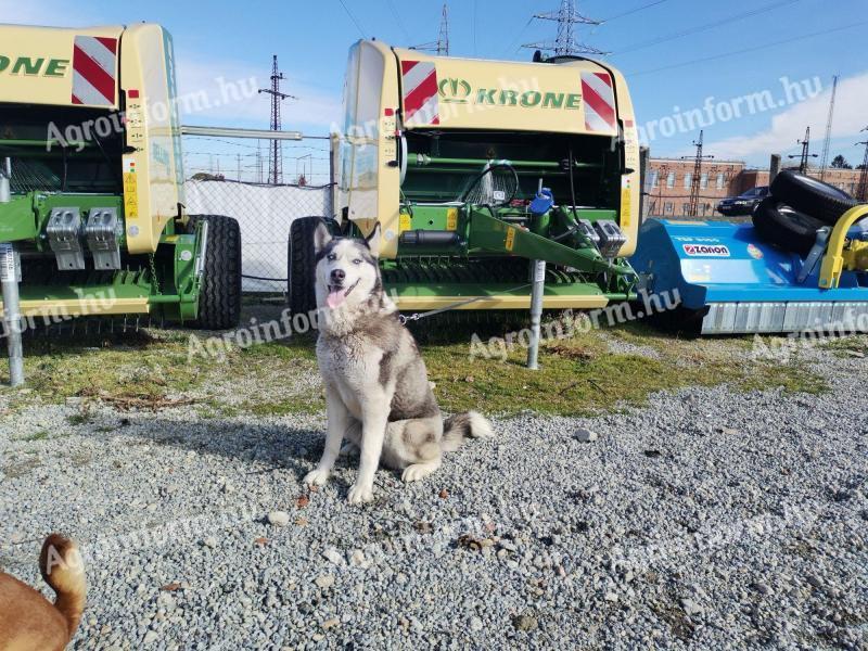 Stroje na podávání vláken ve společnosti KC-BÉKÉS Ltd.