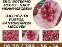 Prodaǰem višn̂e prehrambene klase sorte Erd