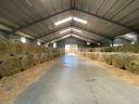 BIOKONTROLL pelete ecologice LUCERNA în cantități mari, proteine: 31,1 g/100 g, 3000 tone