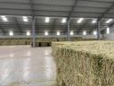 BIOKONTROLL pelete ecologice LUCERNA în cantități mari, proteine: 31,1 g/100 g, 3000 tone