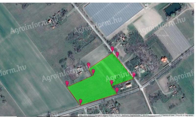 Prodaje se 2,74 ha oranice sa asfaltiranim putem