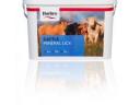Feed your animals this effective way