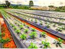 2024 - New developments in horticultural films