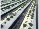 2024 - New developments in horticultural films