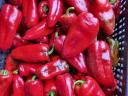 Kápia-Paprika in kleinen und großen Mengen