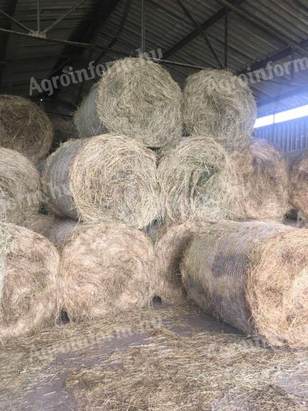 Bale of hay for sale