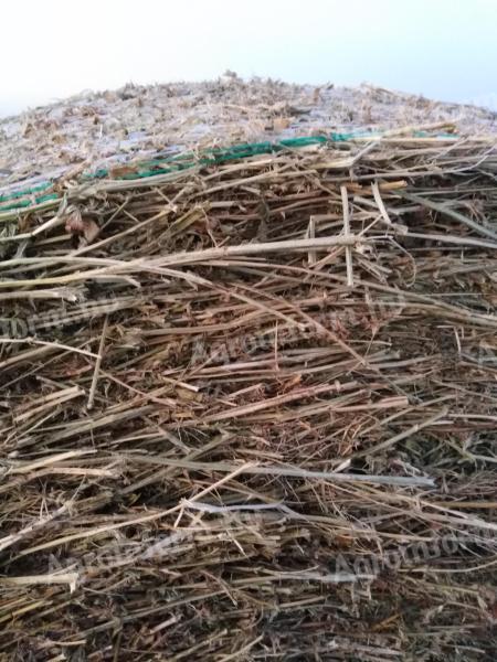 Alfalfa and wheat straw for sale