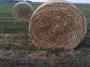 Alfalfa und Weizenstroh zu verkaufen