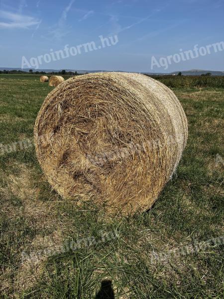 Hay and lucerne bales