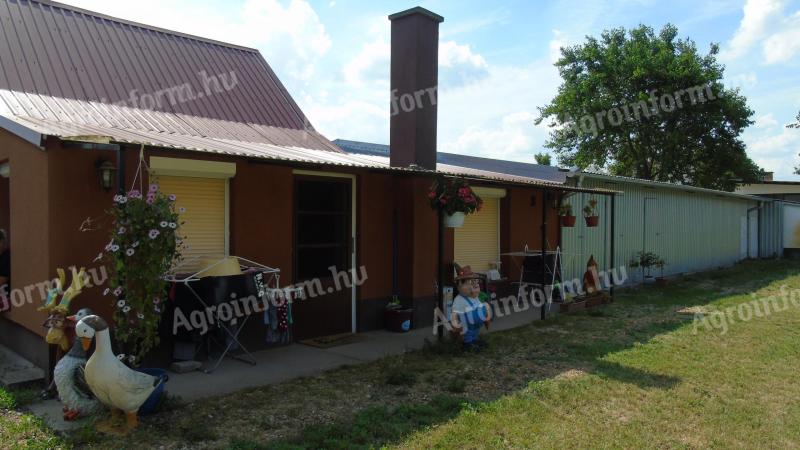 Livestock farm for sale