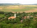 For sale 2400 square meters of forest and lawn in Szentbékáll, Káli basin