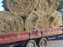 Lucerna round bales for sale