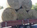 Lucerna round bales for sale