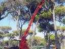 FAMA TRTE9000 hydraulic pruning stands