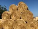 Wheat straw bales