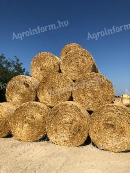 Wheat straw bales