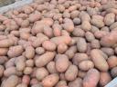 Red Scarlet potatoes for sale