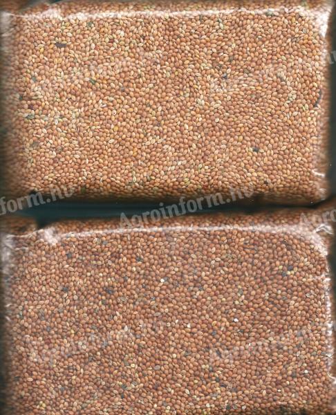 Yellow millet for sale