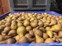 Alexander pears for sale