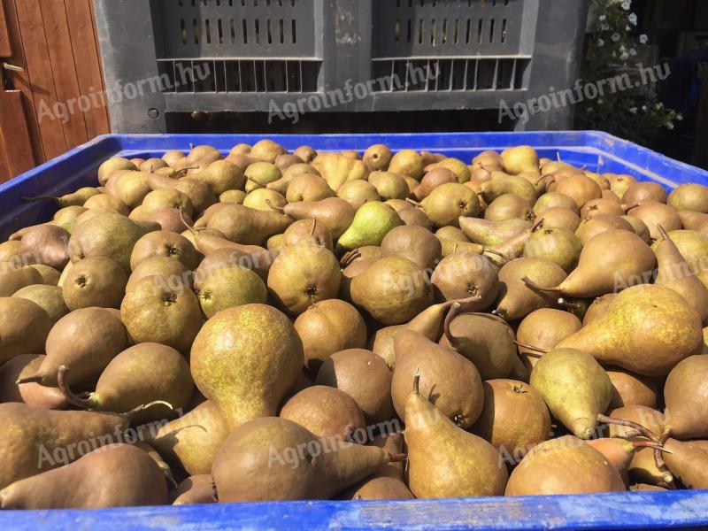 Alexander pears for sale