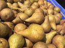 Alexander pears for sale