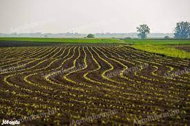 Field from a farmer (Hajdúnánás, 1/1 ownership)