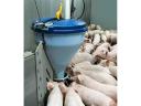 Roxell Blu Hox Plus 30 combined pig feeder