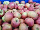 Juice making, juice processing, apple, pear, beetroot, grape juice Bag-in-box