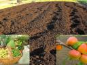 For compost manure, rooted pepper seedlings, seedlings, flower cuttings, strawberry cuttings