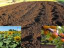 For compost manure, rooted pepper seedlings, seedlings, flower cuttings, strawberry cuttings