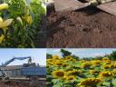 For compost manure, rooted pepper seedlings, seedlings, flower cuttings, strawberry cuttings