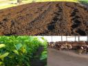 For compost manure, rooted pepper seedlings, seedlings, flower cuttings, strawberry cuttings