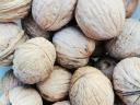 Walnuts for sale, even with postal delivery