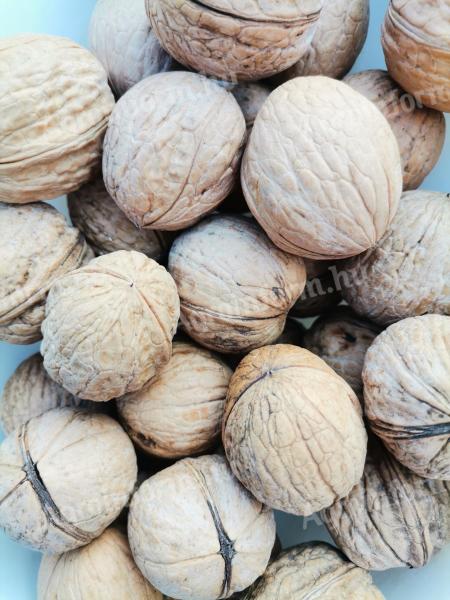 Walnuts for sale, even with postal delivery