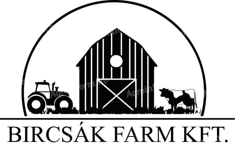 Cattle breeding machine operator
