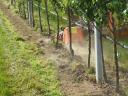 PERFECT Terra Ranger soralj talajművelő gyümölcs és szőlőültetvényekhez hatékony gyors