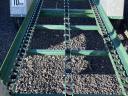 LARGE HARVESTING CRATE FOR TRANSPORT TO ORCHARDS, VINEYARDS