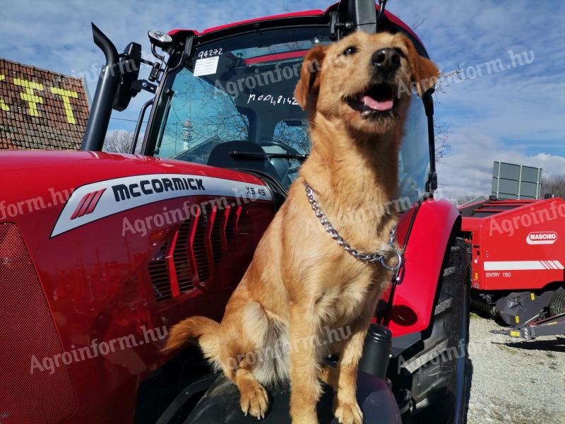 Traktor McCormick, balirka Krone KC-Békés Kft