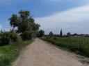 30 000 m2 of pasture land for sale in the sought-after outskirts of Szentendre
