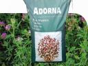 Adorna grafted lucerne seeds with personal collection, home delivery