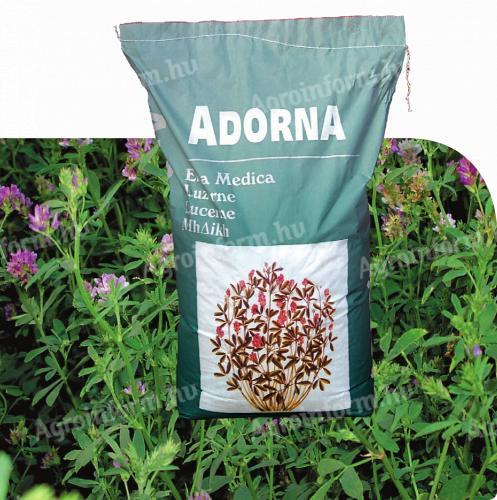 Adorna grafted lucerne seeds with personal collection, home delivery