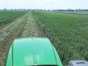 ALFALFA AND HAY, ARABLE LAND FOR RENT