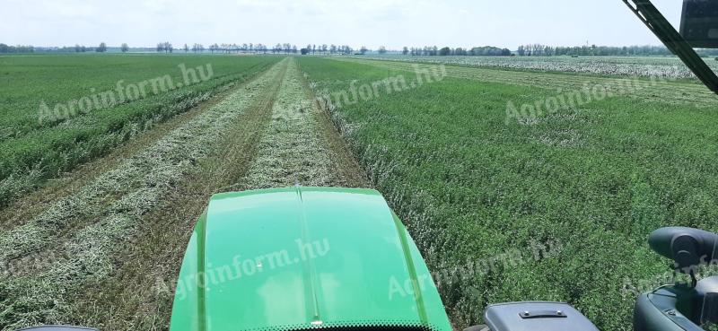 ALFALFA AND HAY, ARABLE LAND FOR RENT