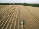 ALFALFA AND HAY, ARABLE LAND FOR RENT